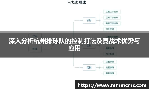 深入分析杭州排球队的控制打法及其战术优势与应用